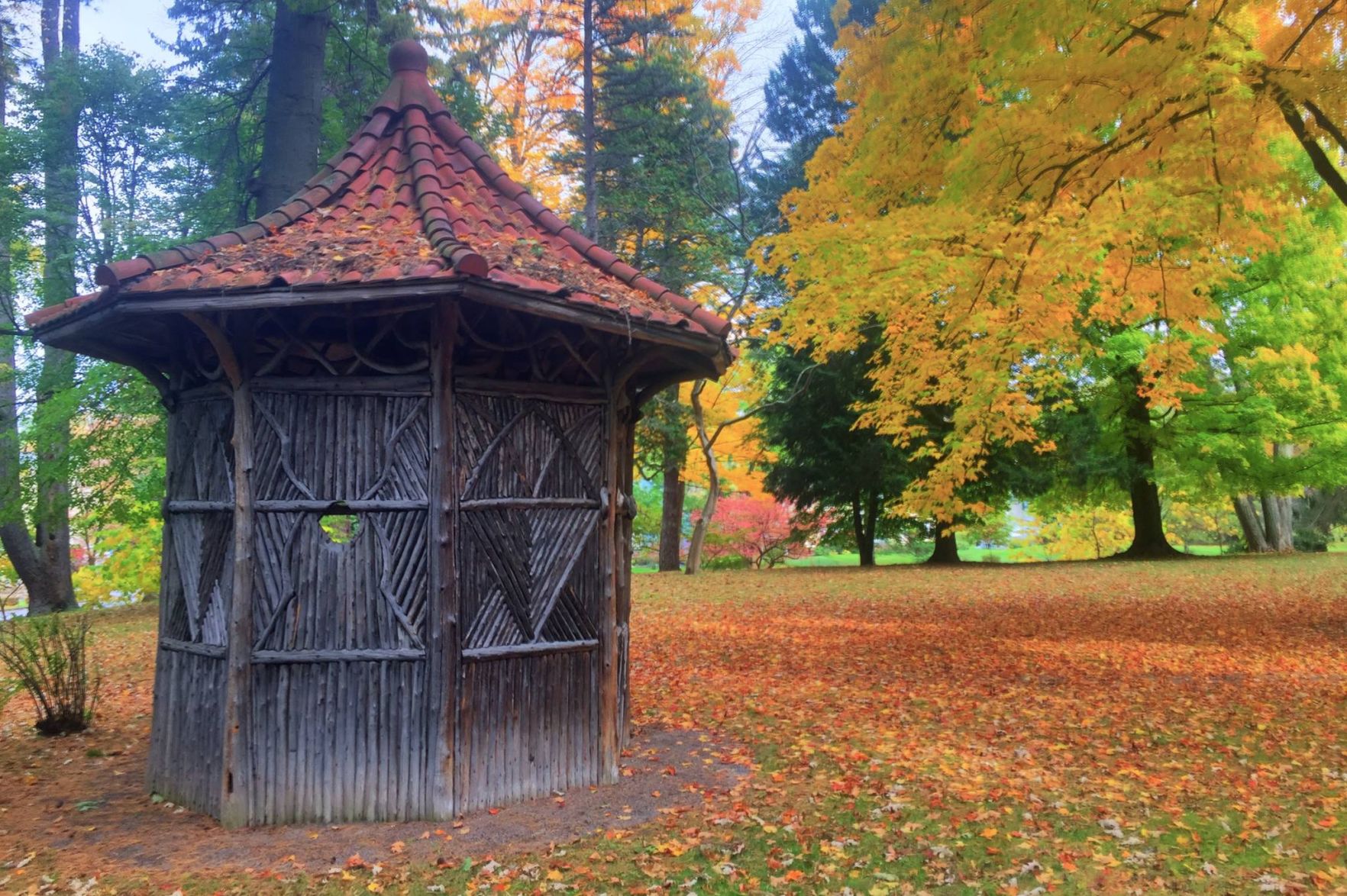 gazebo_Gebhardt.jpg